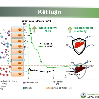 Báo cáo khoa học: Nghiên cứu bào chế và đánh giá hệ nano tự nhũ hóa chứa silymarin