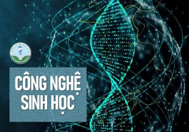 Chương trình đào tạo ngành Công nghệ sinh học